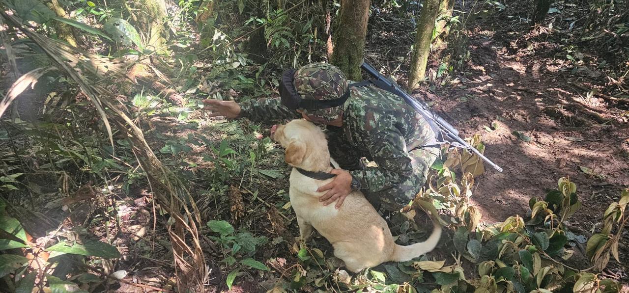 Ejército Nacional destruye 43 artefactos explosivos en el Catatumbo / Foto Archivo