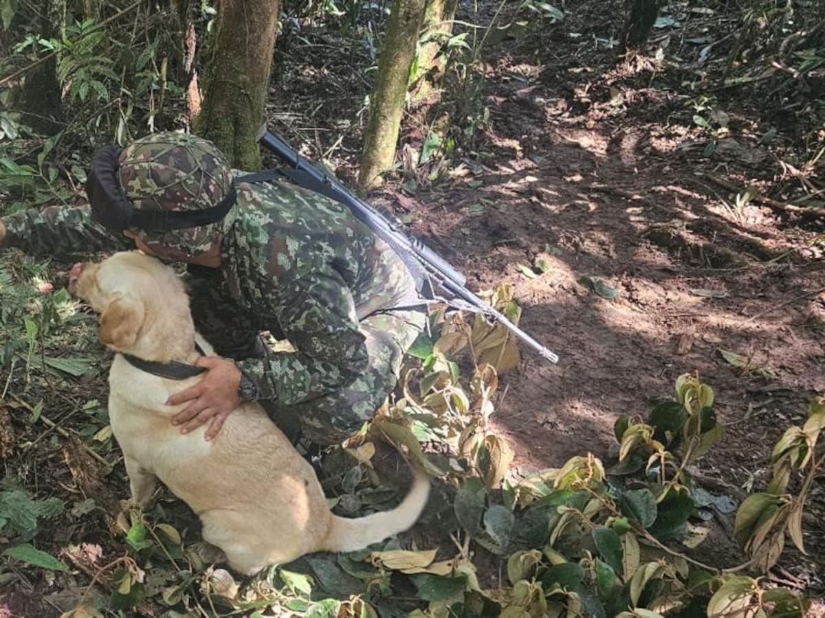 Ejército neutraliza acciones violentas en el Catatumbo