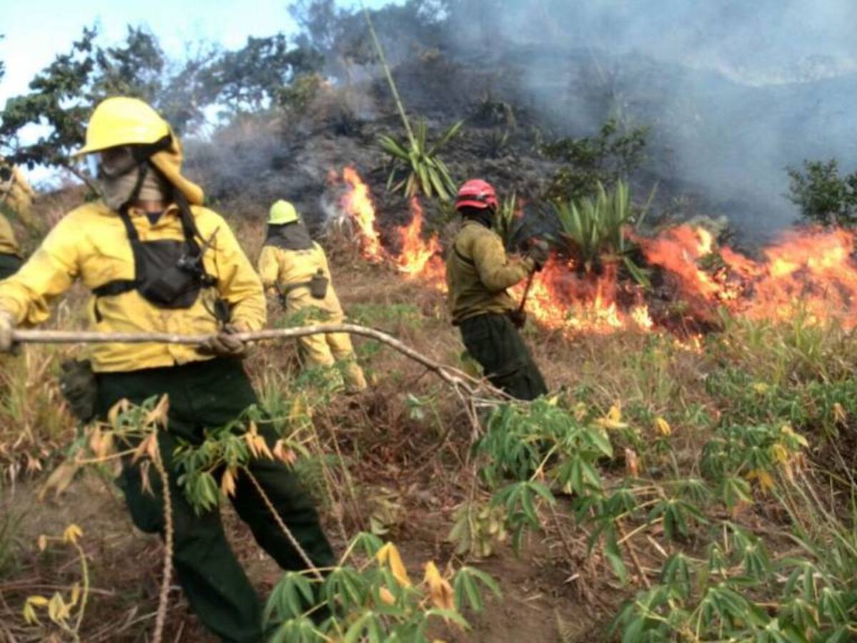 Año tras año los bomberos de Pasto luchan contra los incendios forestales