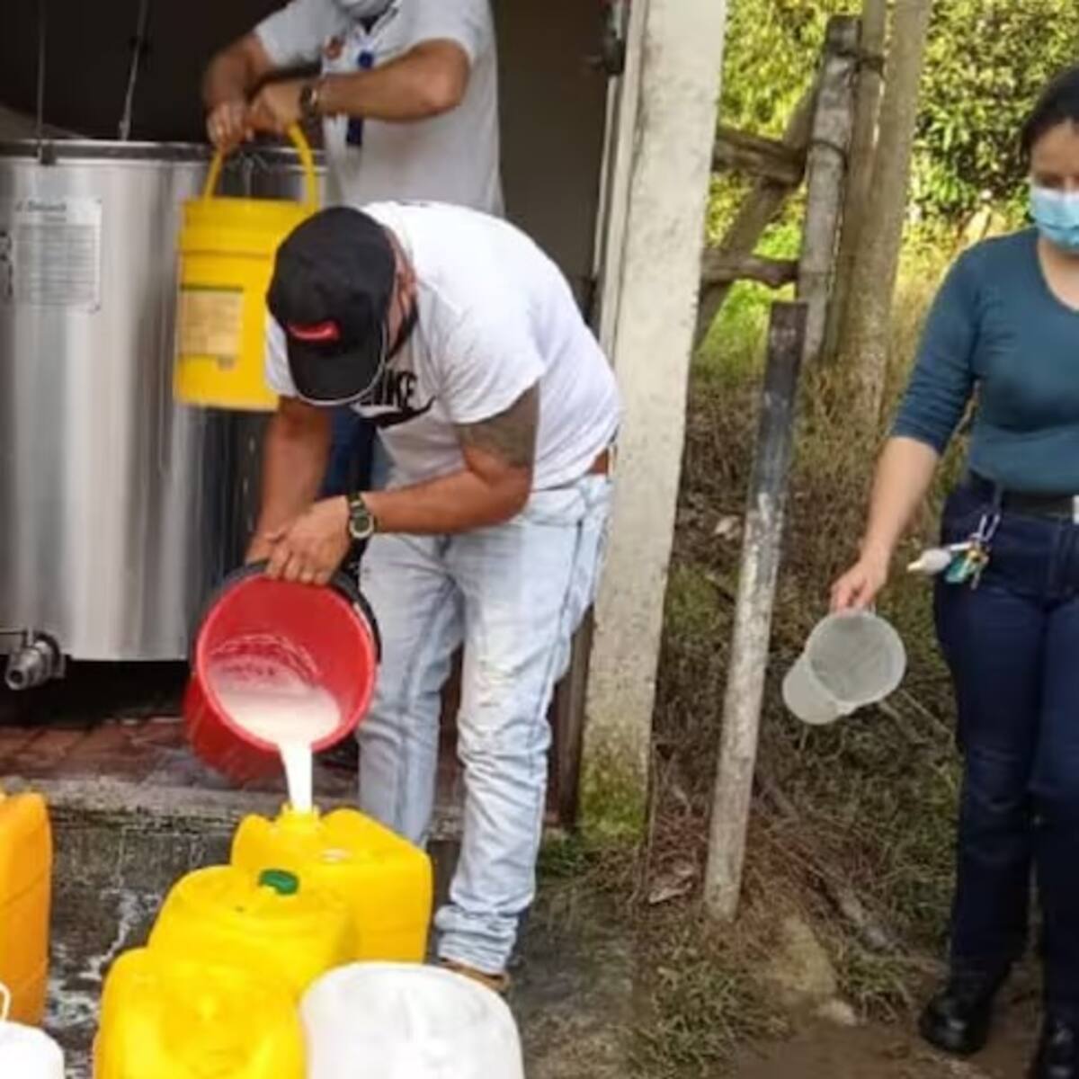 ¿Cómo afecta a los ganaderos del Quindío, la sequía? hablan líderes del sector