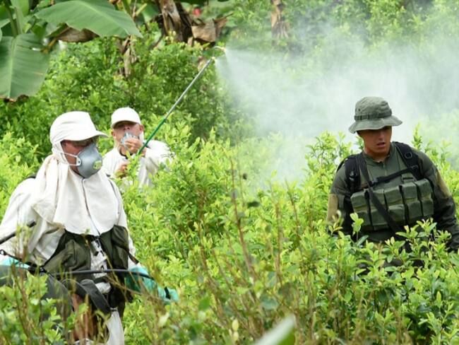 No era una decisión posible dejar de fumigar cultivos ilícitos: EE.UU.