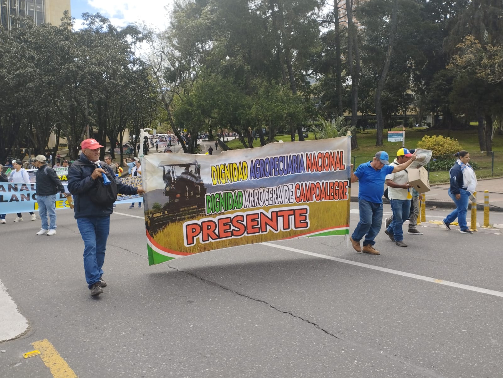Más de 2,500 arroceros del departamento han decidido.Foto Arroceros del Huila.