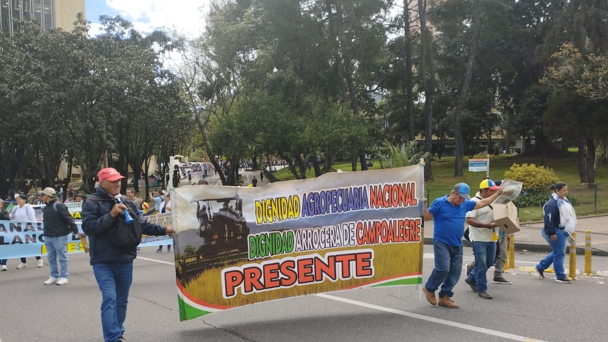 Pérdidas pone al gremio arrocero del Huila al borde de la quiebra