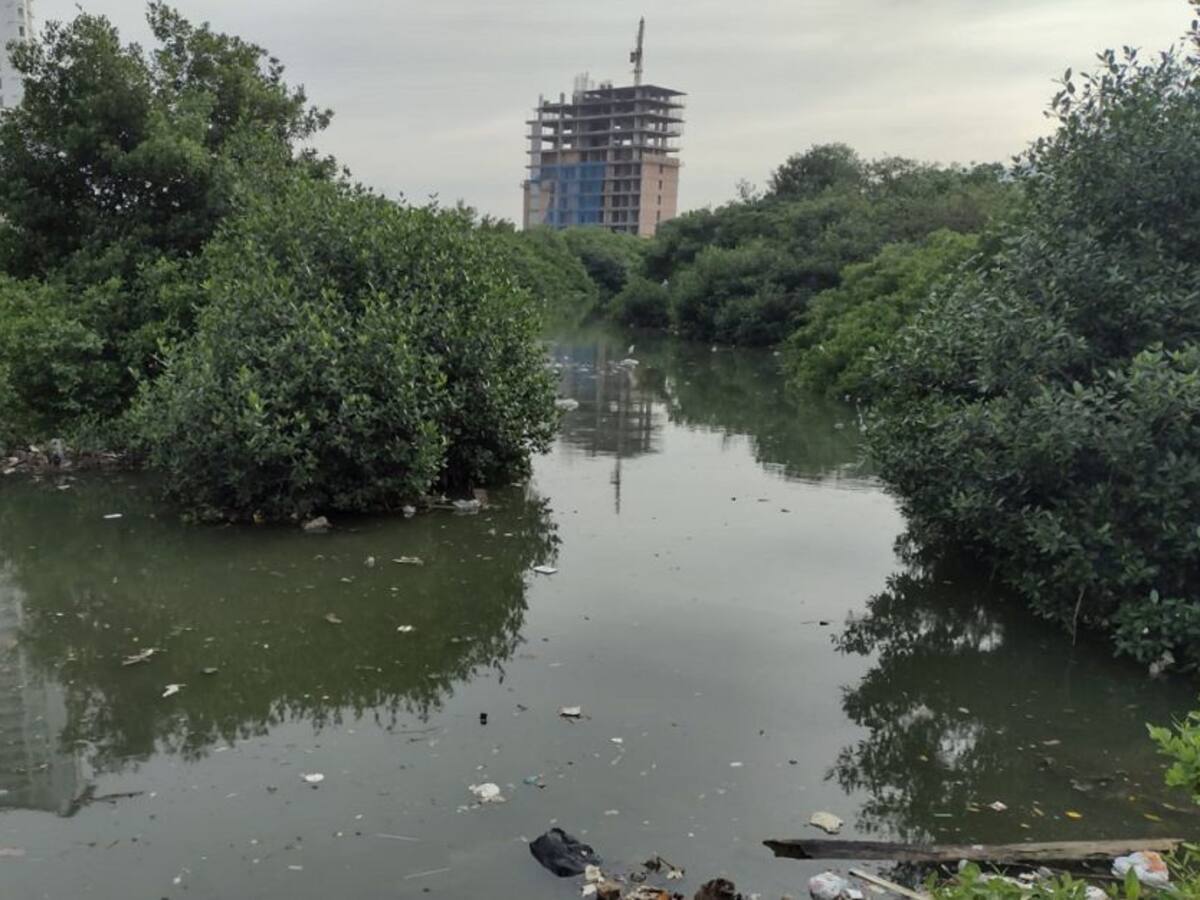 Caño Juan Angola: ahogado con la contaminación