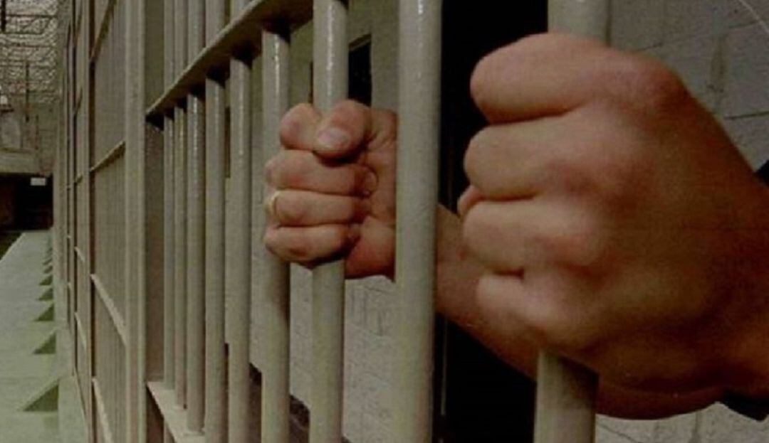 Imagen de referencia