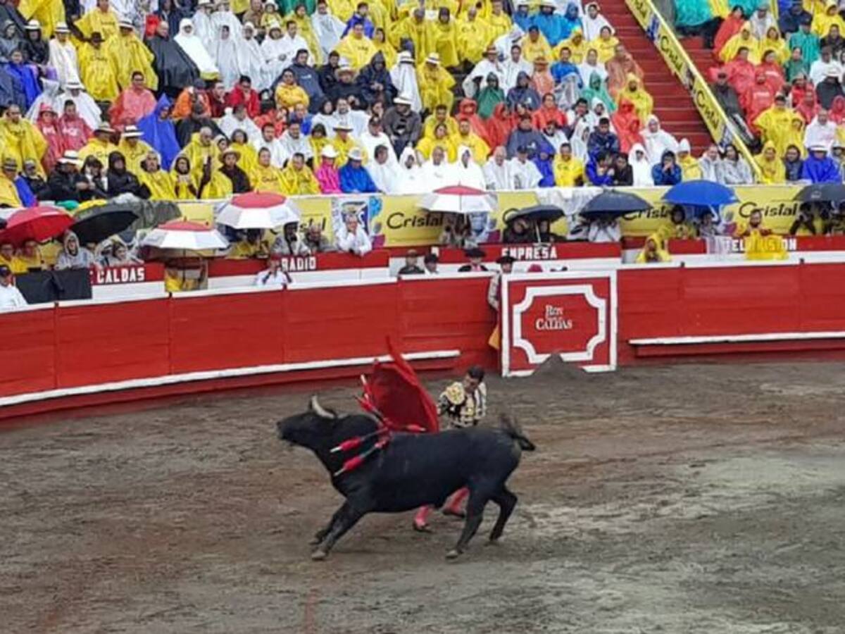 Animalistas celebran posibilidad de prohibición de las corridas de toros