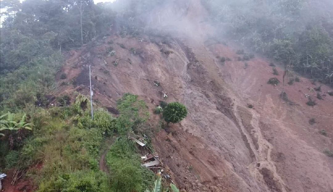 Foto: Enviada desde la Secretaría de Medio Ambiente de Caldas.