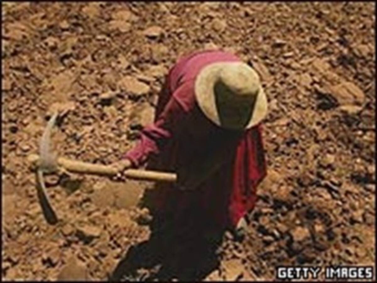 Los campesinos sufren el peor empleo por calidad y remuneración
