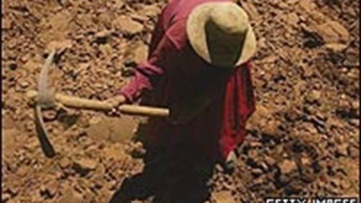 Los campesinos sufren el peor empleo por calidad y remuneración