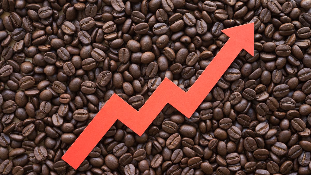 Indicadores: ¿Cuánto vale una carga de café hoy en Colombia de 125 kg ...