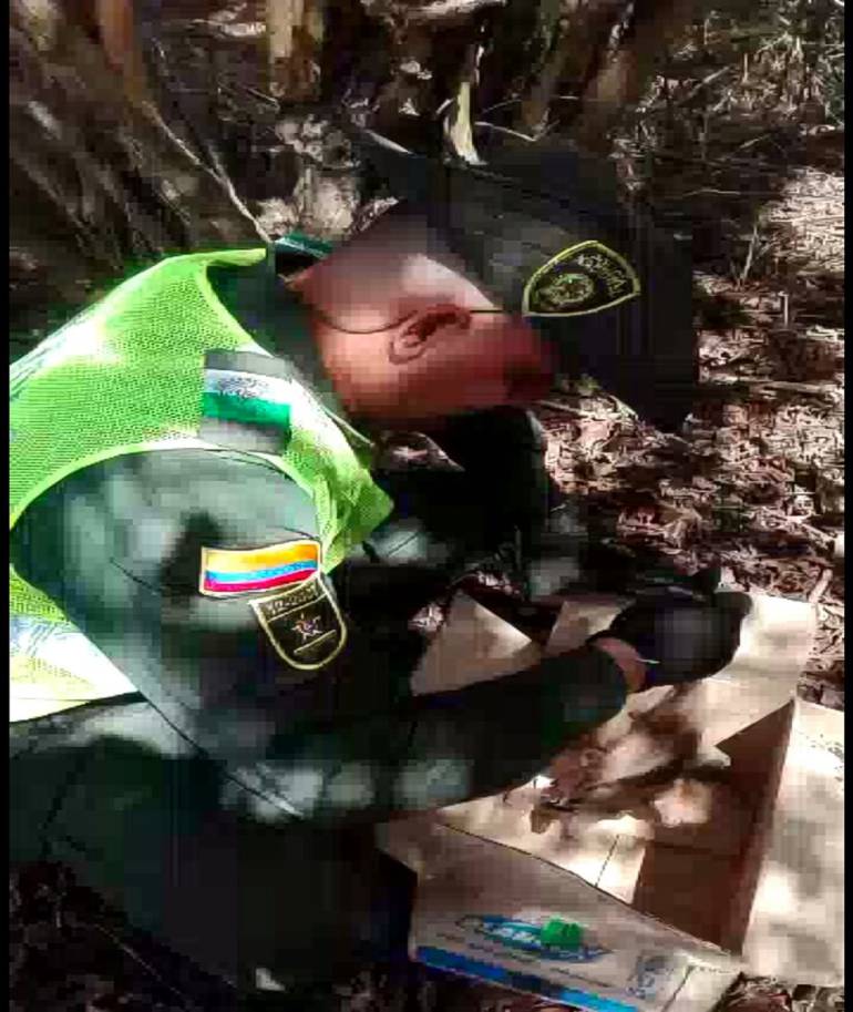 Policía en momentos en que se dio el rescate del oso hormiguero.