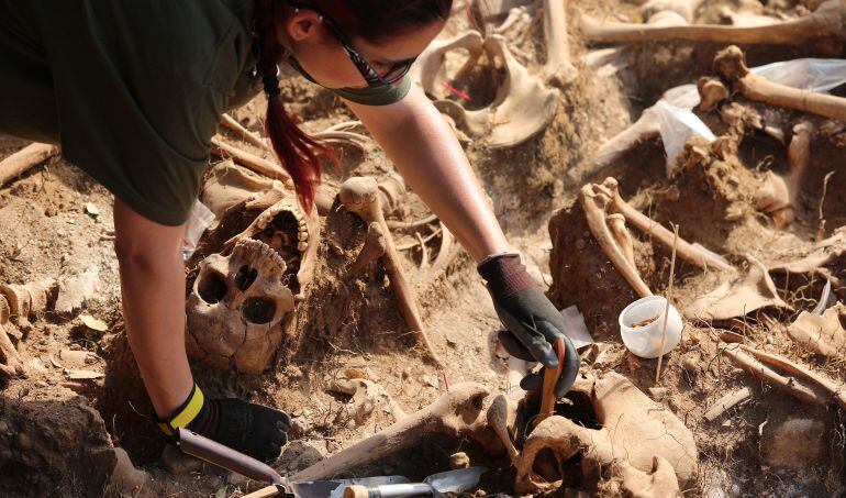 ¡Polémica! desenterrarán 45.000 esqueletos para ejecutar obra