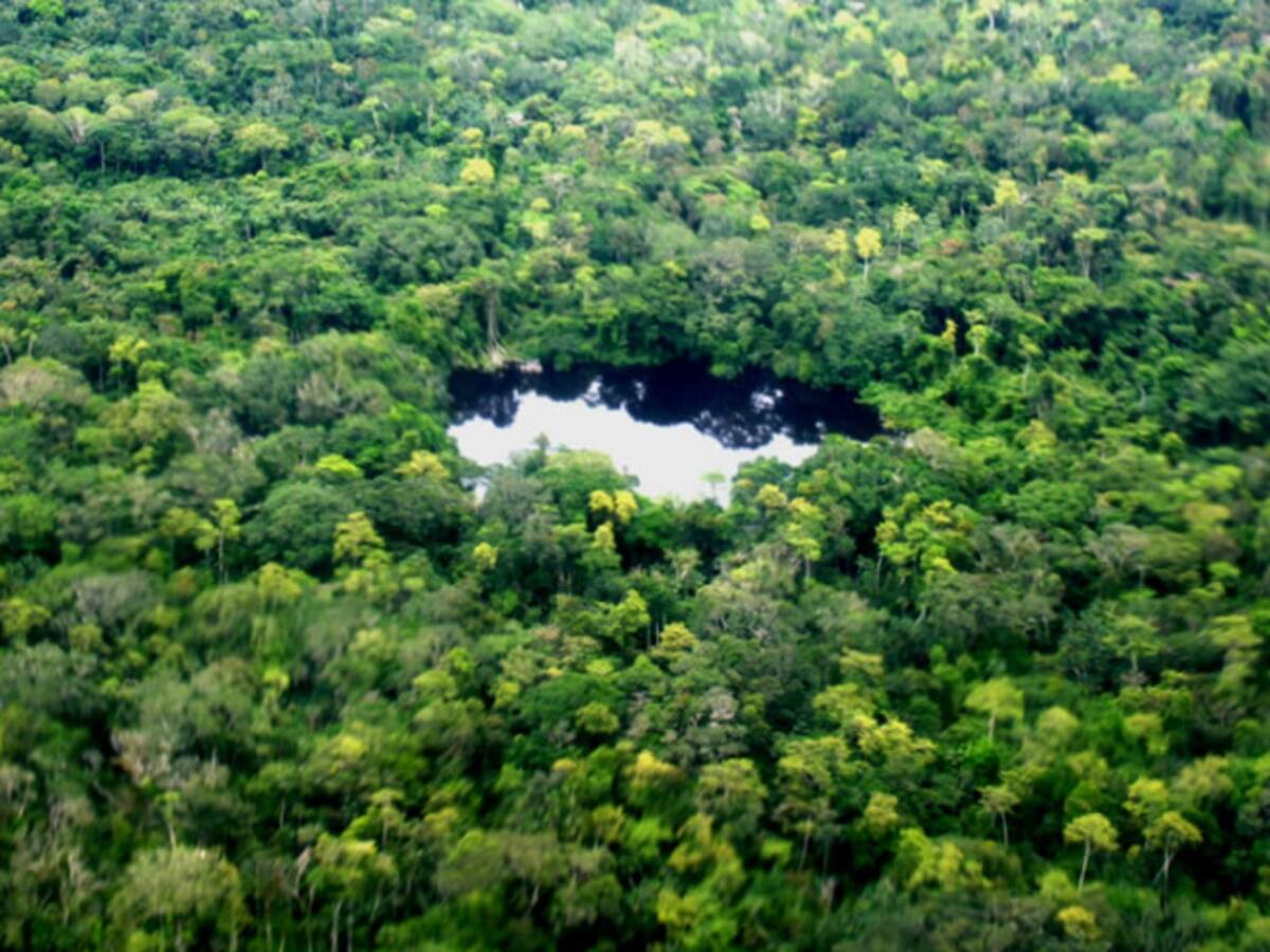 Único municipio de Colombia que limita con Perú y Ecuador: Los separa importante río ¿cuál?