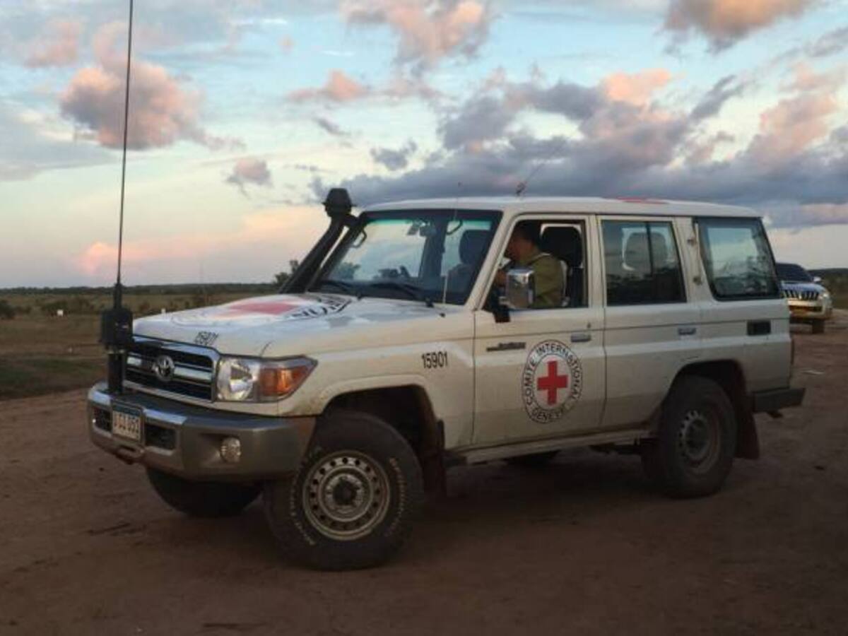 Las Farc empezaron a moverse a sus campamentos en la selva