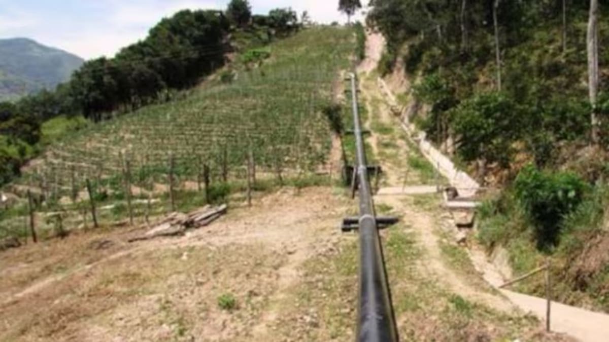 EXCLUSIVO: Oleoducto Caño Limón-Coveñas lleva 7 meses paralizado