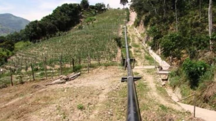 EXCLUSIVO: Oleoducto Caño Limón-Coveñas lleva 7 meses paralizado