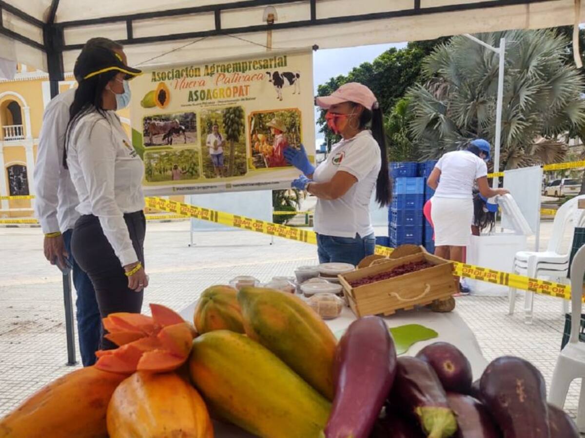 En El Carmen de Bolívar, 33 asociaciones participan del mercado campesino