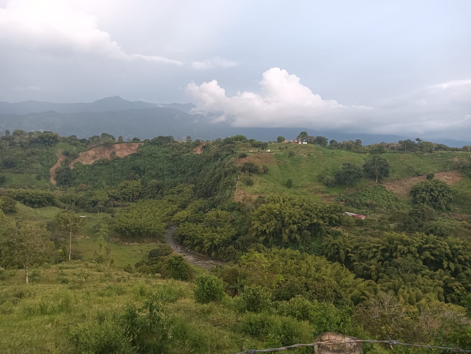 Los hermosos paisajes del Quindío, desde Armenia. Foto: Adrián Trejos