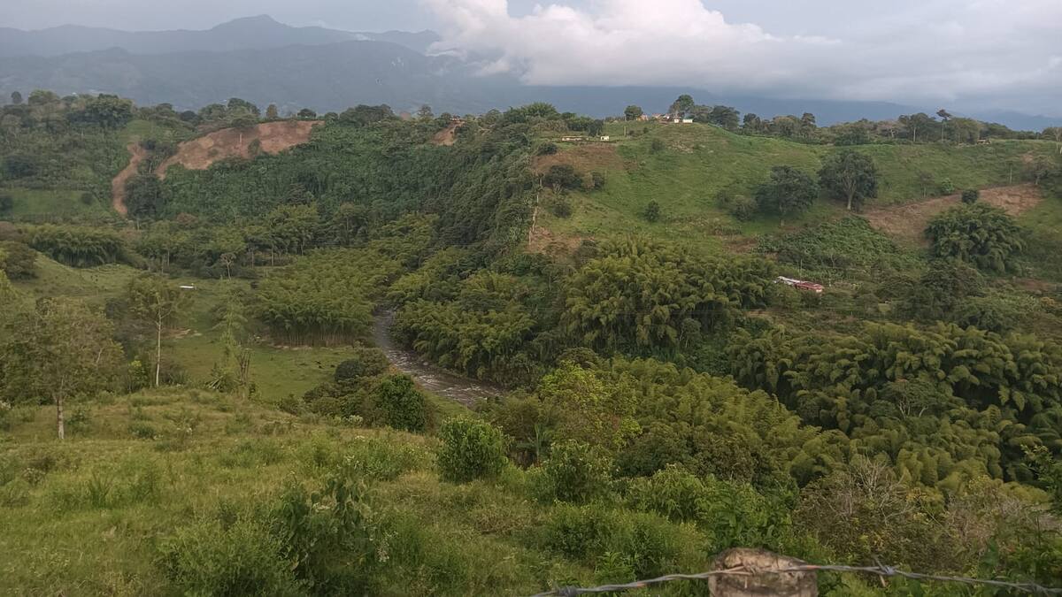 Viernes 30 de enero, las noticias más importantes de Armenia y Quindío