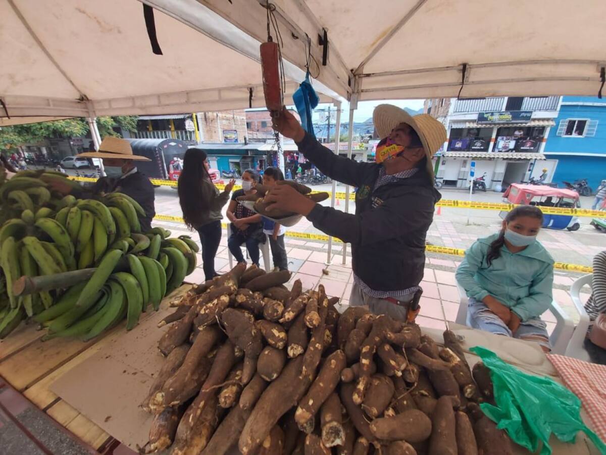 Reducción del desempleo en marzo fue producto de la agricultura