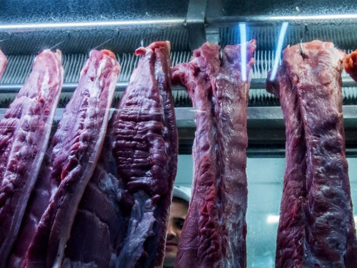 Almacenes de cadena en Cúcuta se abstienen de comprar carne local