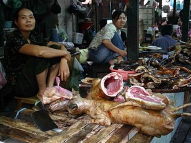 La carne de perro, un platillo cuyo consumo causa polémica en Corea del Sur