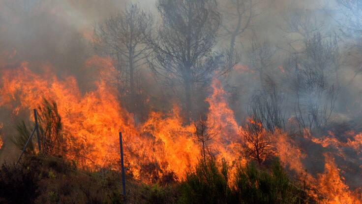 "Es necesario contar con apoyo aéreo": alcalde de Nemocón sobre control de incendio
