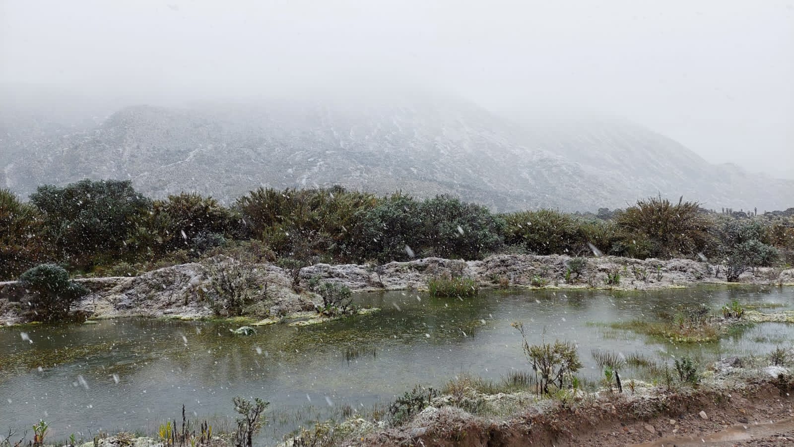Nieve en la localidad de Sumapaz, en Bogotá. Foto: Cortesía Alcaldía Sumapaz