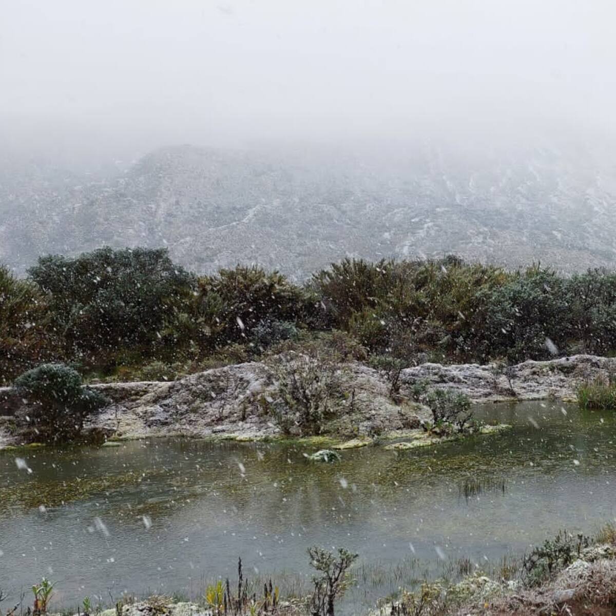 Video: nevó en la localidad de Sumapaz en Bogotá