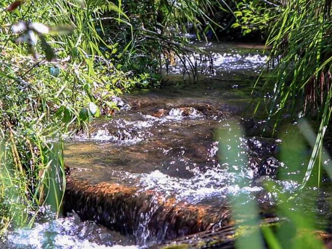 Líderes comunitarios como Enrique Sandoval y Carlos Nonzoque celebran avances en la verificación de denuncias ambientales que, por más de un año.