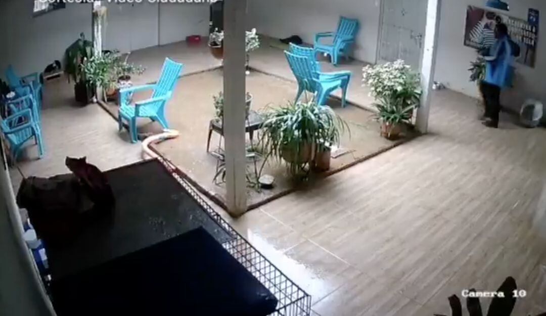 Cámaras de Seguridad Fundación Corazón Gatuno