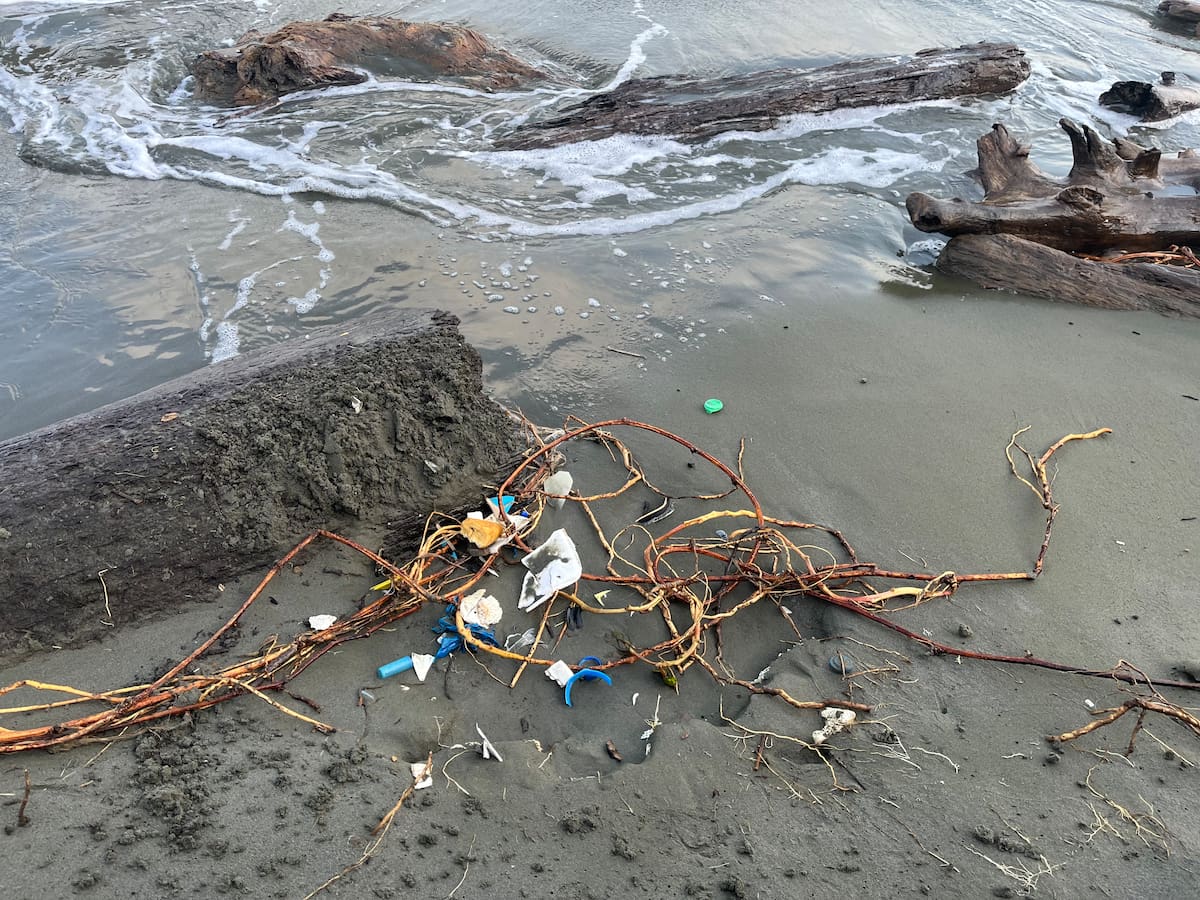 San Bernardo del viento y su playa a la que llegan kilos de basura cada día