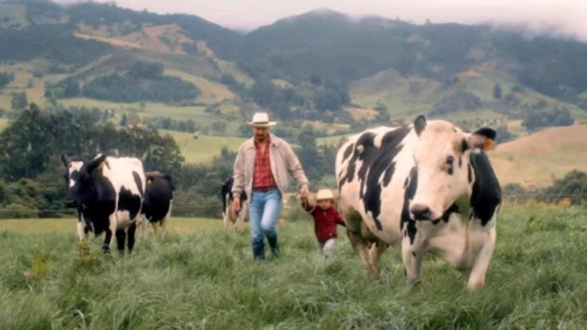 Productores de leche de Nariño y Cauca en alerta por derrumbe en la vía Panamericana