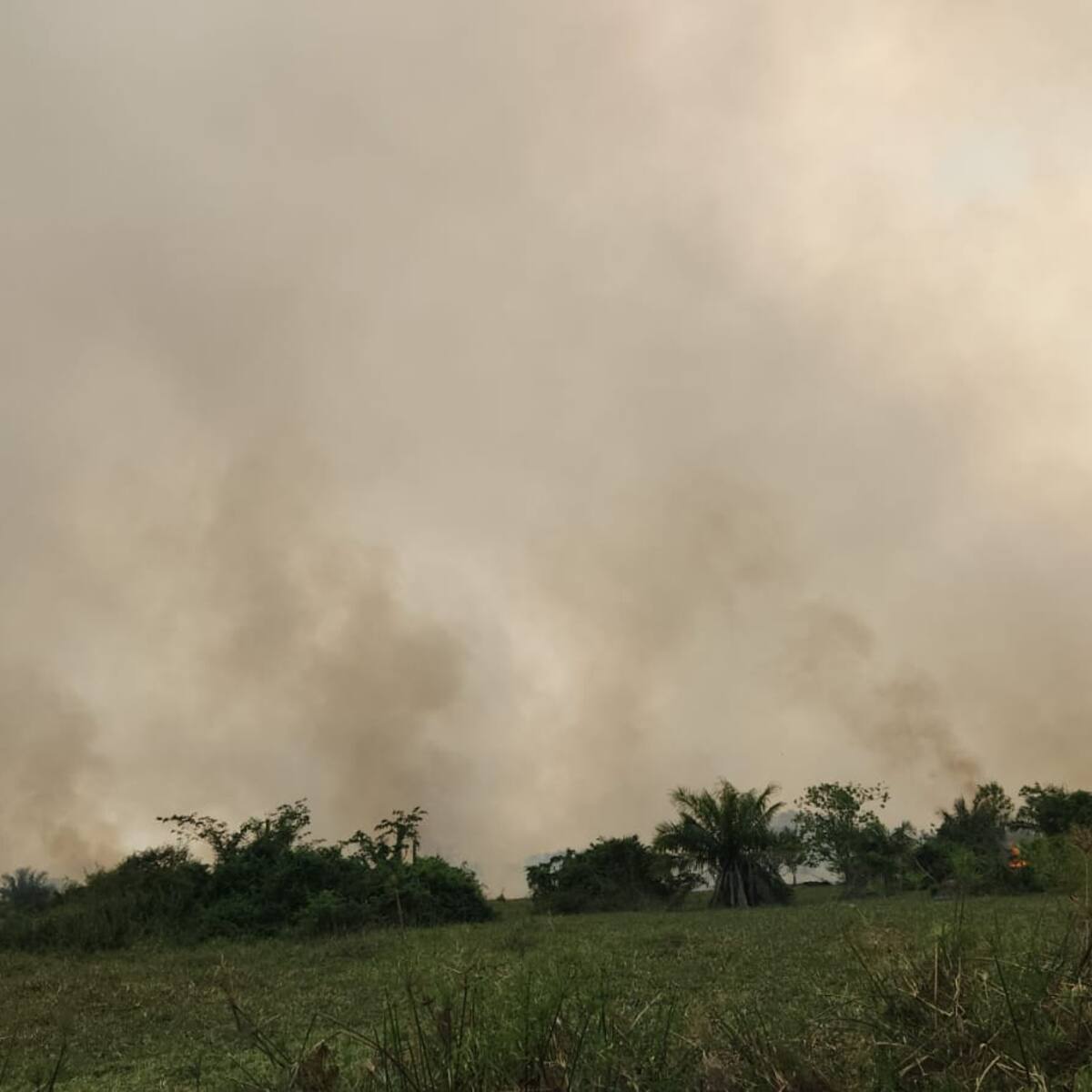 Alerta por grave incendio forestal en la ciénaga San Silvestre