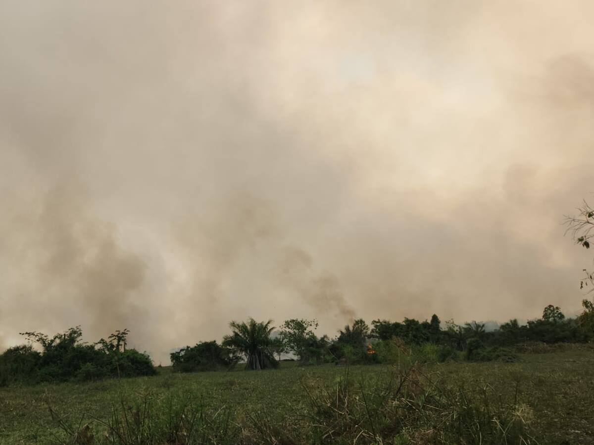 Alerta por grave incendio forestal en la ciénaga San Silvestre