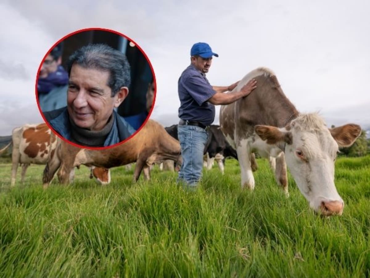 Exportaciones del sector ganadero alcanzaron los US$ 216.2 millones en el primer semestre