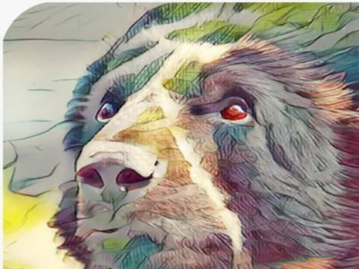 El Oso de Niebla inspira pasión por la protección
