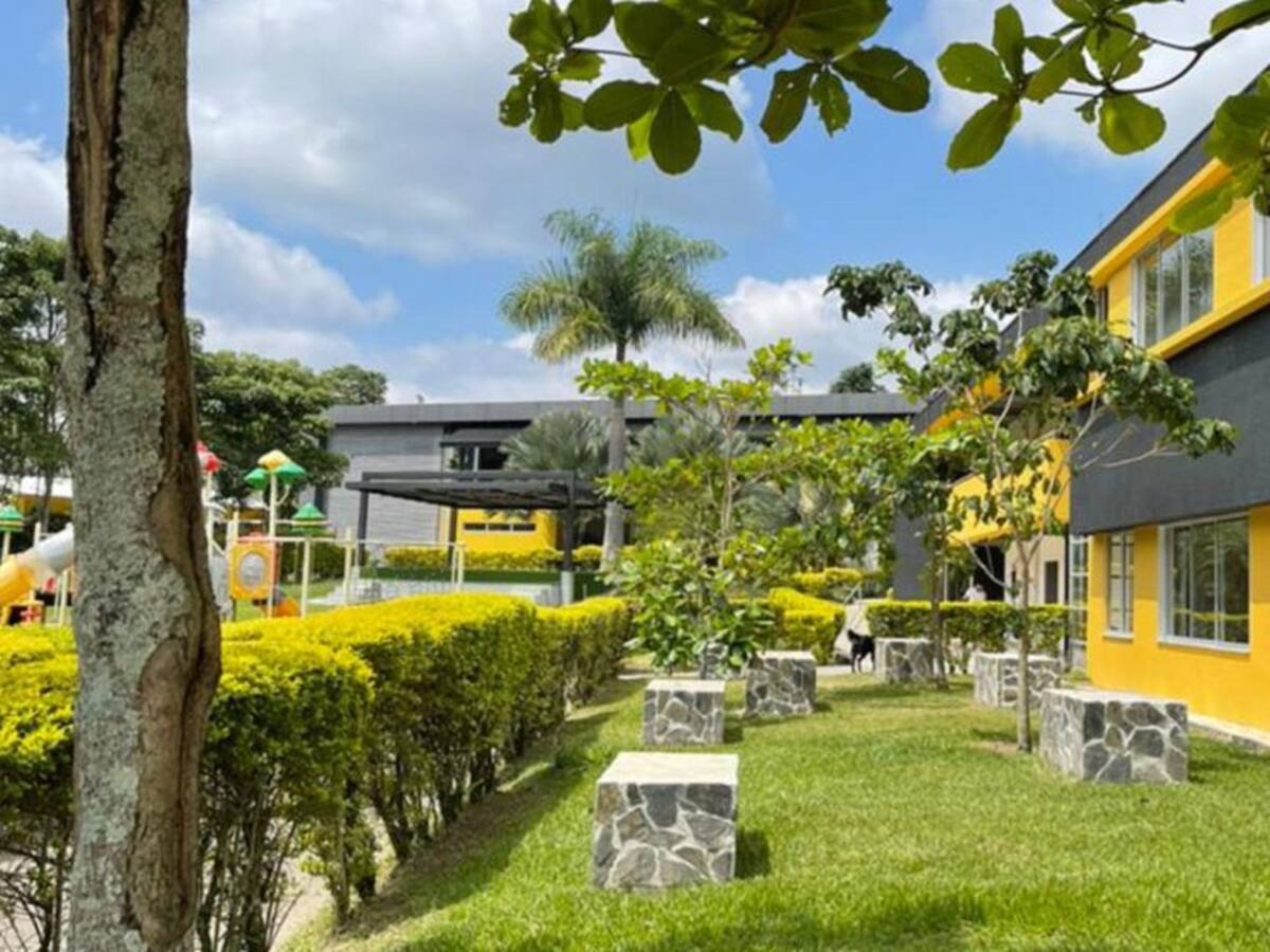Colegio Gimnasio Contemporáneo se destaca en pruebas saber a nivel país