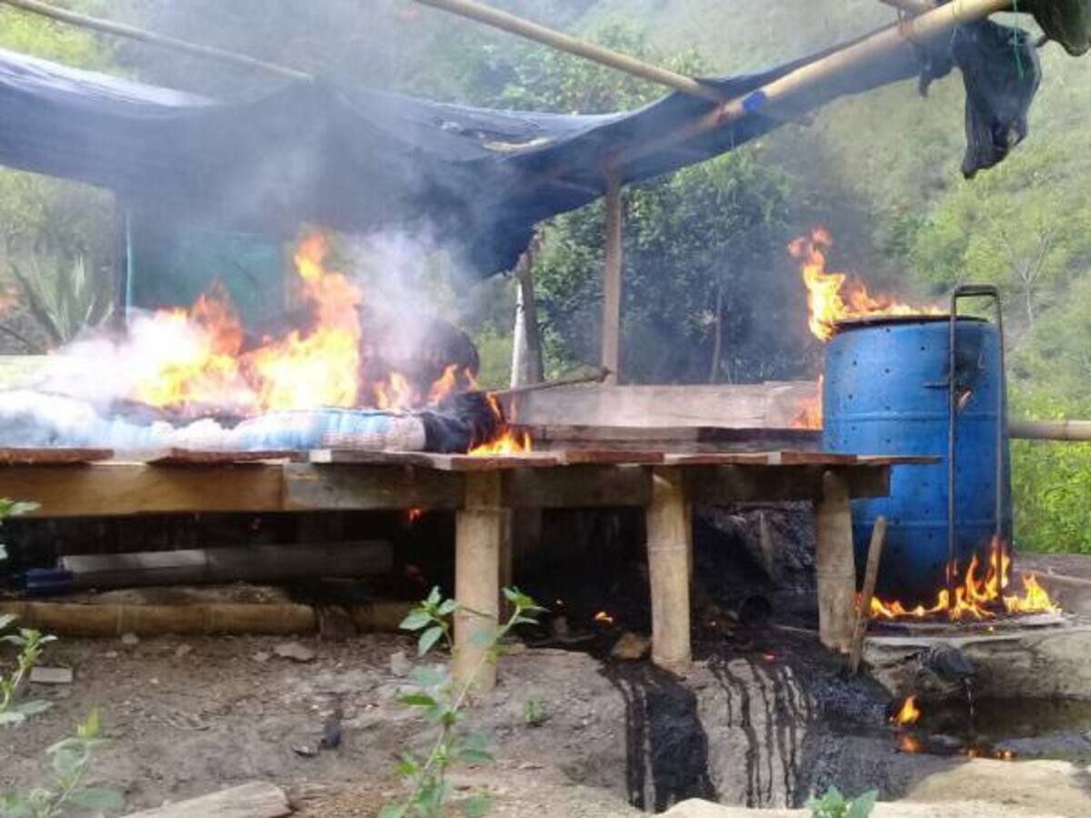 Destruyen laboratorios de coca del Eln en límites de Huila y Cauca