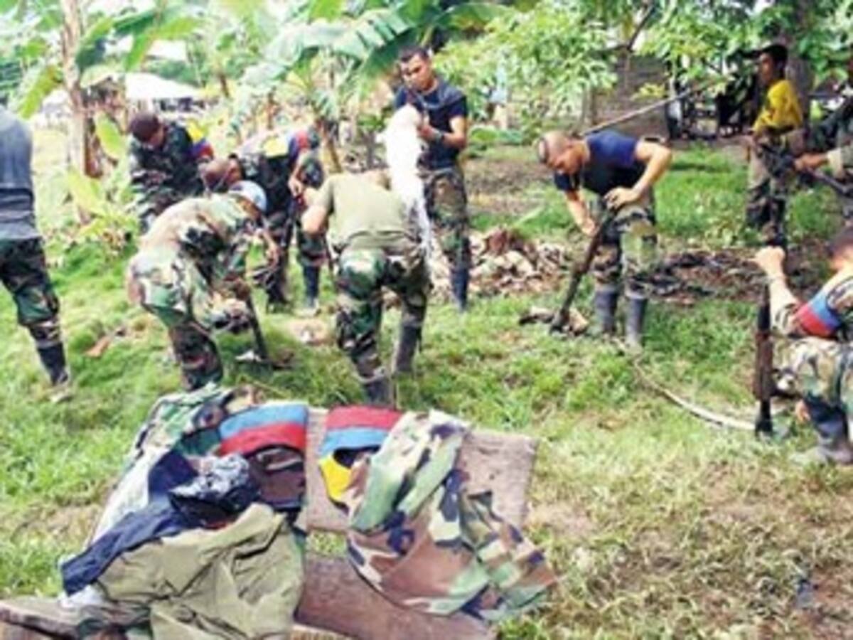 Persecución de bienes de Chiquita Brands no tendría ningún efecto
