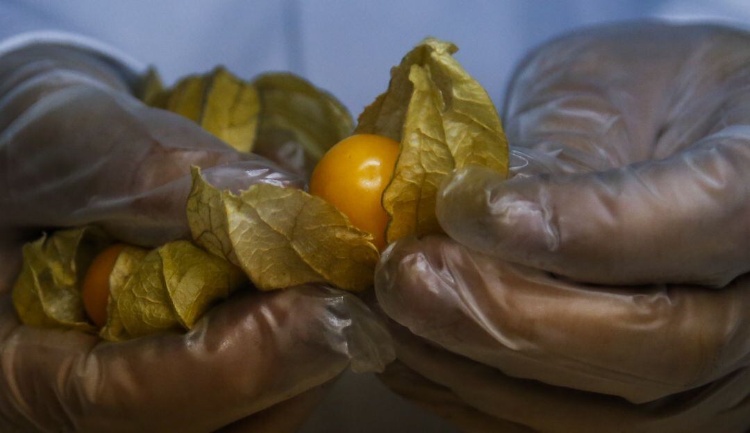 (Colprensa - Mauricio Alvarado)