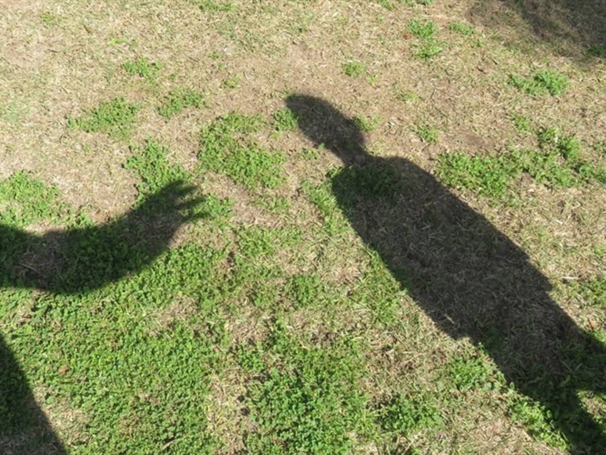 Cadena perpetua no disuade la comisión del delito: Cristina Pardo