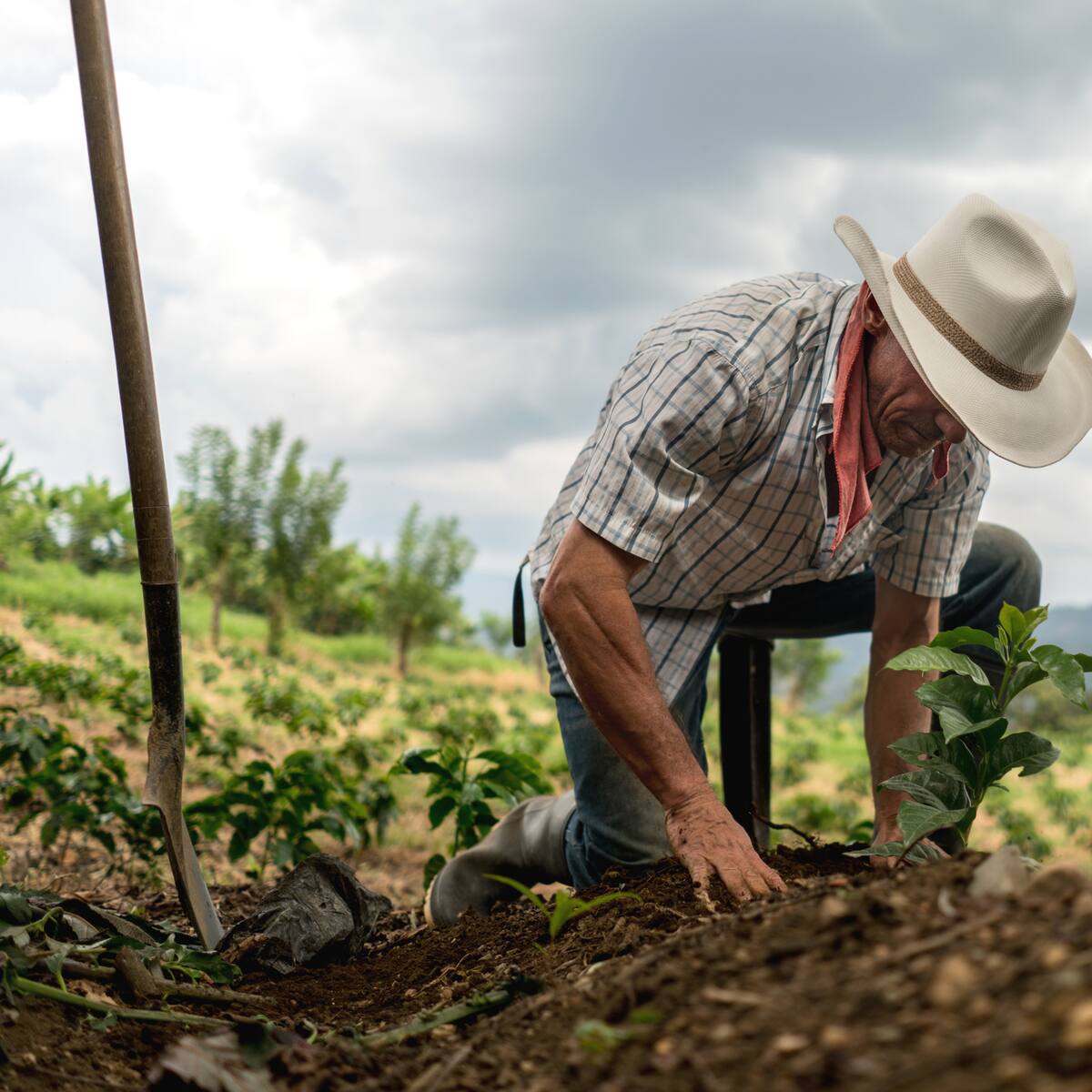 Con la Fundación Campo Digno trabajamos para impulsar reforma agraria de Petro: Vendrell