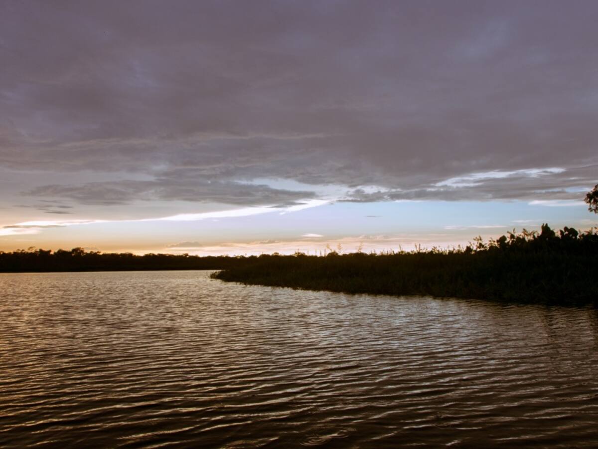 Foro Amazónico de Negocios Verdes 'Turismo de Naturaleza'