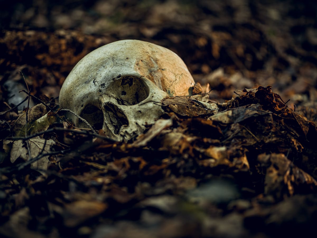 ¿Los seres humanos podrían extinguirse? Esto respondió la IA sobre cuándo y cómo pasaría