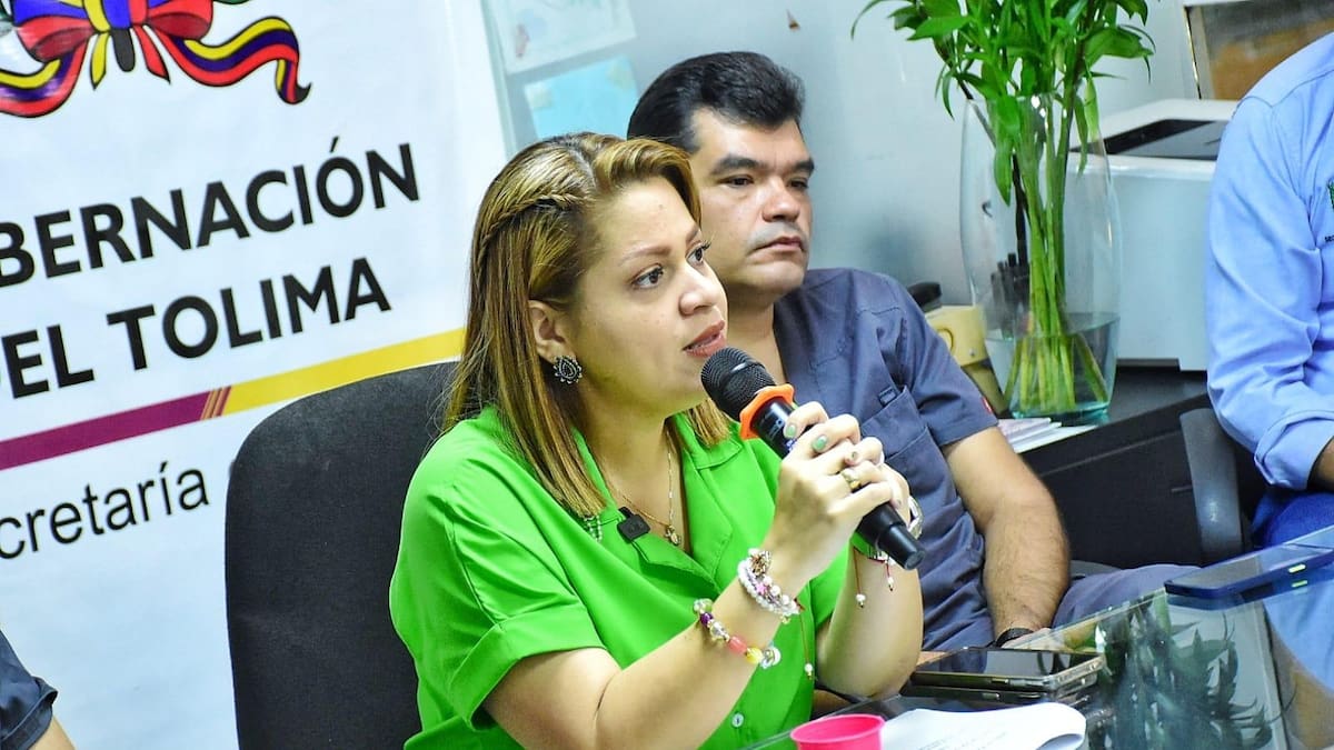 “Priorizaremos un plan de austeridad”: Martha Palacios