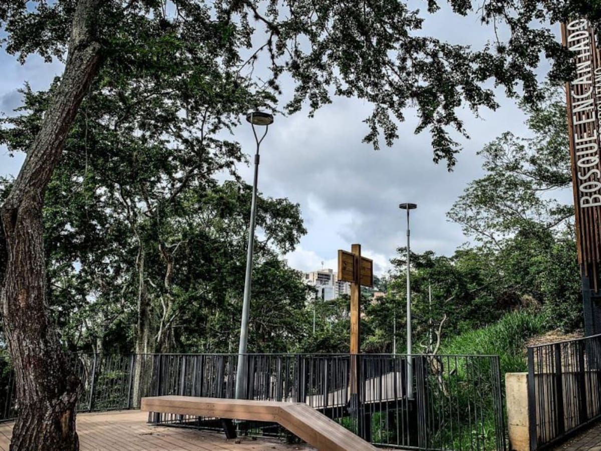 Bosque encantado, el nuevo parque de Bucaramanga
