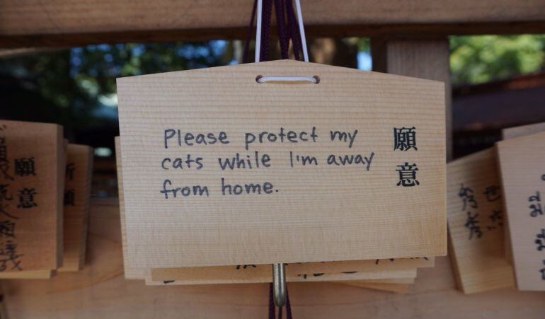 Una de las publicaciones de Adam Ellis en Twitter