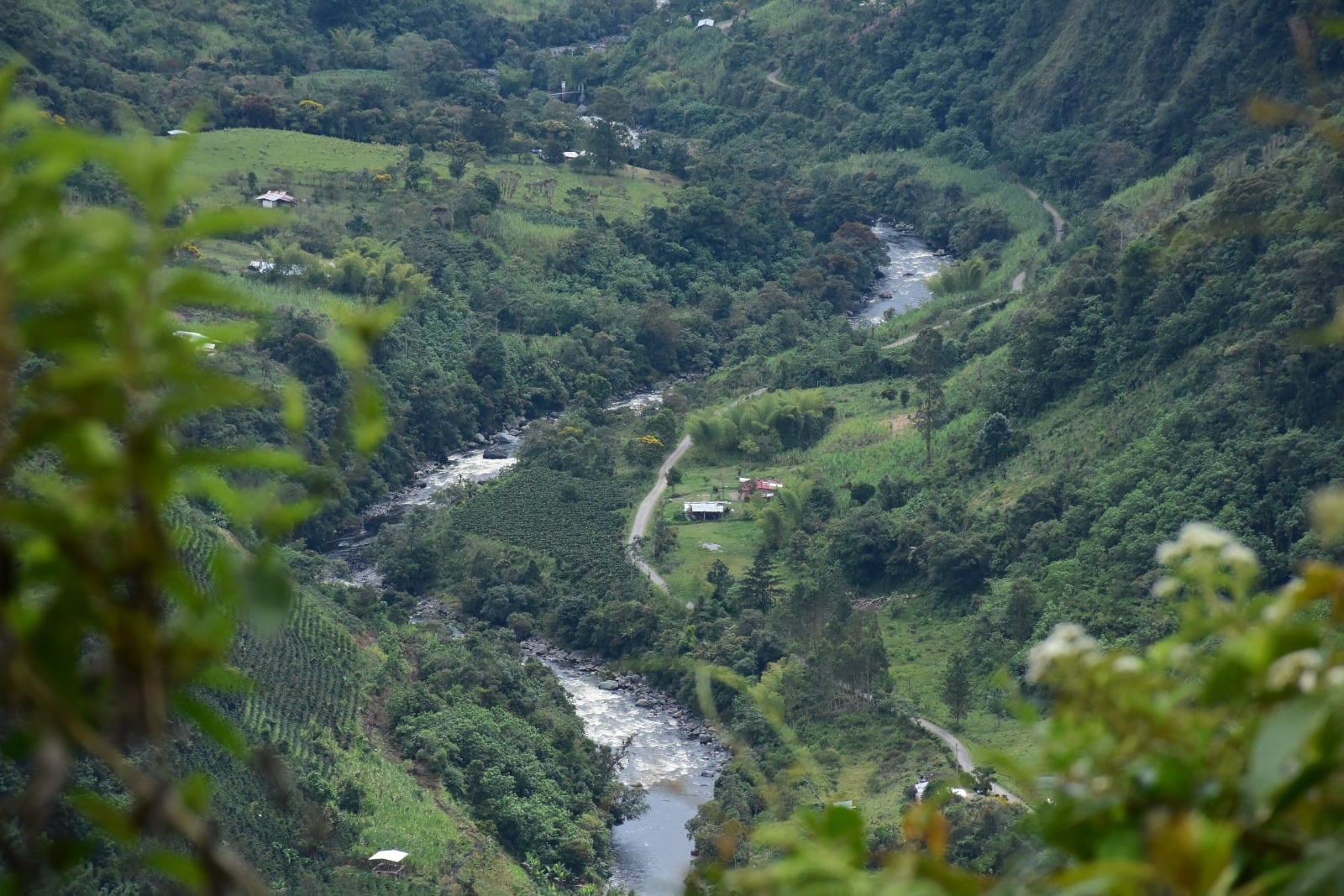 La autoridad ambiental también solicitó activar planes de contingencia, identificar fuentes alternas de suministro. Foto CAM
