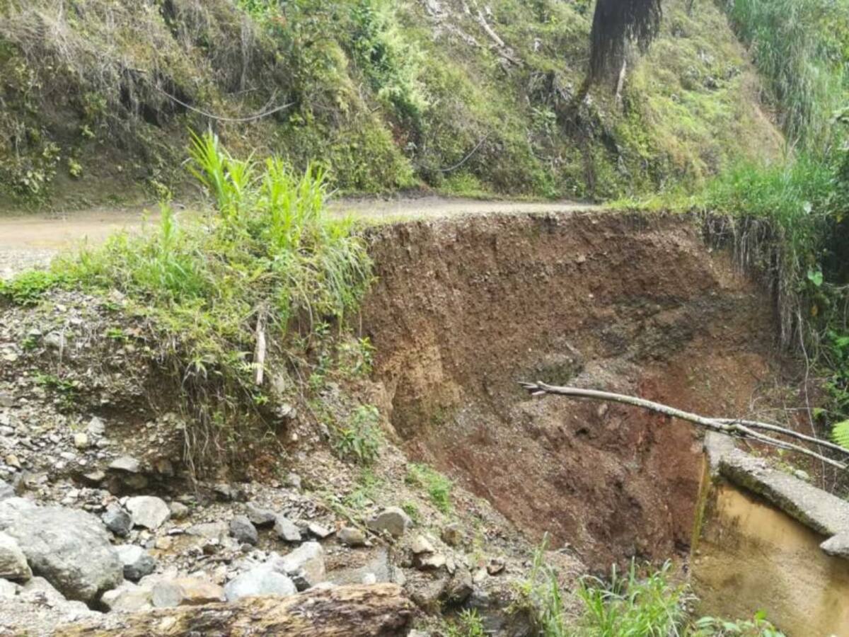Construirán puente en el sector del Chorreadero en Pereira
